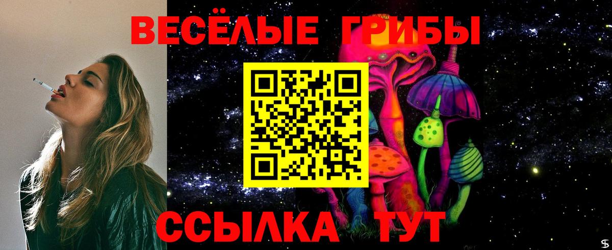 Галлюциногенные грибы Psilocybe Тобольск