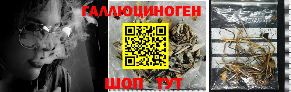 Галлюциногенные грибы мухоморы  Вход с VPN  Галлюциногенные грибы Psilocybe  Тобольск 
